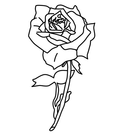 Roses Printable Coloring Pages