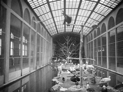 14 more vintage photos of Washington Park Zoo