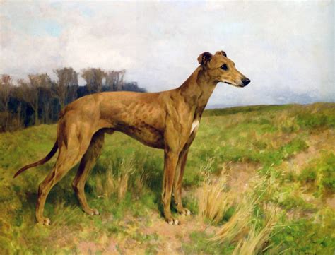 Victorian British Painting: Dog Paintings