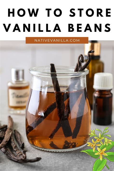 BY FOLLOWING THIS GUIDE ON HOW TO STORE VANILLA BEANS, YOU WILL ENSURE ...