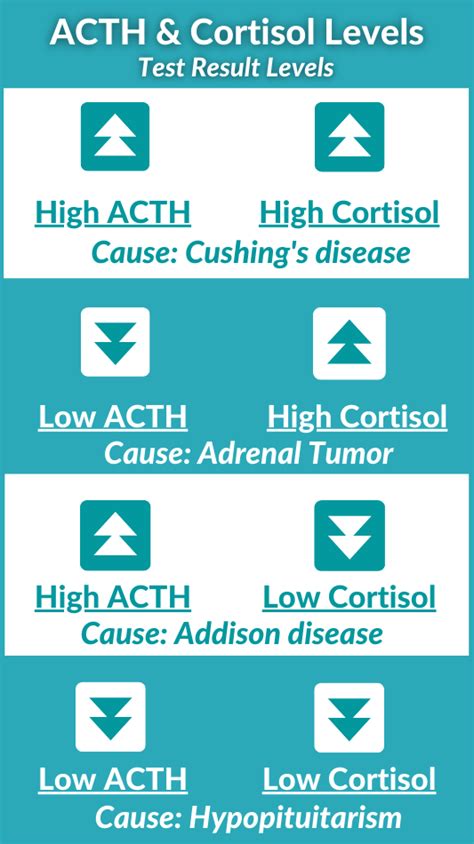 ACTH Hormone Test | Importance of Normal ACTH Levels, Causes of High ...