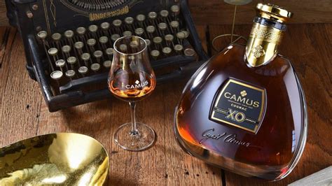 11 Best Cognac XO Bottles To Sip In 2021 - Spirited