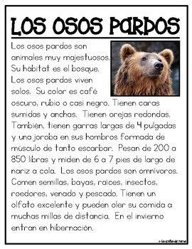 Textos Informativos- Animales del Bosque | Texto informativo, Textos de ...