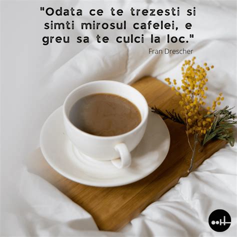 100+ citate despre cafea care sa-ți facă ziua mai frumoasă - Synopy