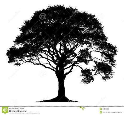 Oak Tree Silhouette Outline