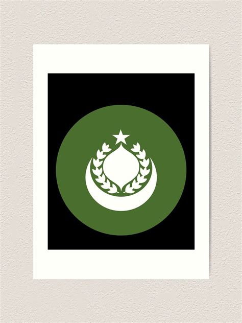 "Sindh Flag" Art Print for Sale by MKMemo1111 | Redbubble