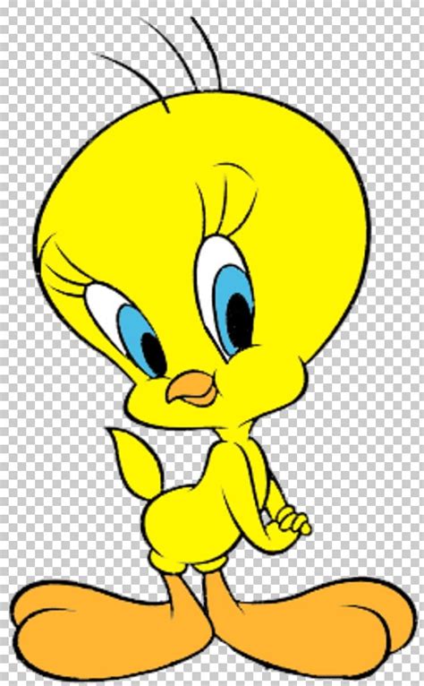 Tweety Cartoon Birds Looney Tunes Cartoons Classic Cartoon Characters | My XXX Hot Girl