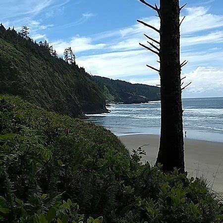 Cape Lookout State Park (Tillamook) - 2018 All You Need to Know Before You Go (with Photos ...