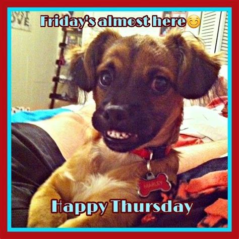 Happy Thursday Memes Hilarious