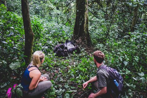 Checking Gorilla Trekking in Uganda Off the Bucket List