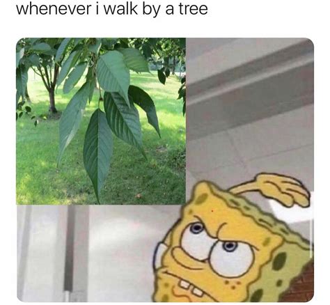 Ah yes, the leaf. : r/memes