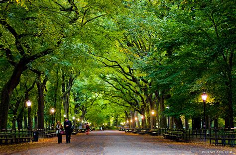 Free and Great in NYC: Discover Central Park