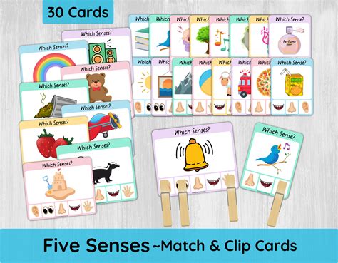 Preschool 5 Senses Match and Clip Cards/ Toddler Five Senses Activity/ Printable 5 Senses Game ...