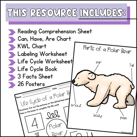 Life Cycle of a Polar Bear Activities, Worksheets, Book - Polar Bear ...