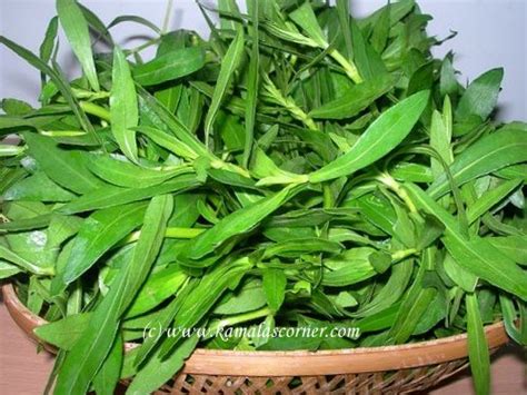 Keerai (Greens) - Bunch of Nutrition - Kamala's Corner