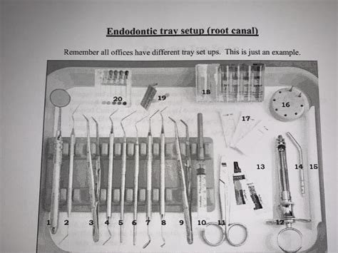 Endodontic Tray Setup (Root Canal) Diagram | Quizlet