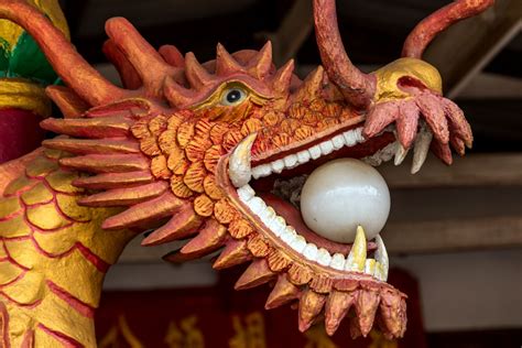 Feng Shui Dragon Statue - Meaning, Types, Placement & More