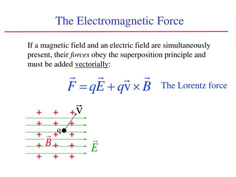 PPT - Magnetic Fields Chapter 29 (continued) PowerPoint Presentation, free download - ID:6392721
