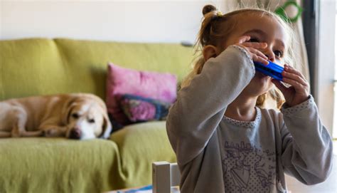 A DIY pet stain remover that'll make your house more attractive to buyers