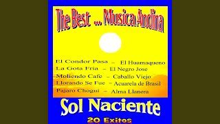 Sol Naciente - Alma Llanera Chords - Chordify