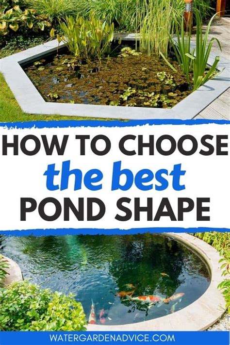 8 Stunning Garden Pond Shapes - Water Garden Advice