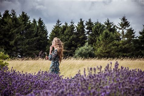 Visiting Cotswold Lavender Fields