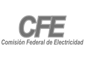 CFE-vector-logo copia | Anexa BPO