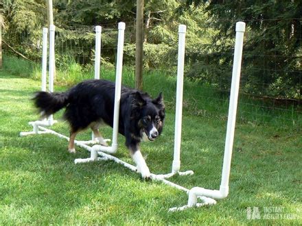 PVC Dog Agility Weave Poles - petdiys.com