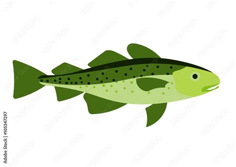 Cod fish vector illustration. Cod fish on white background. Cod fish ...