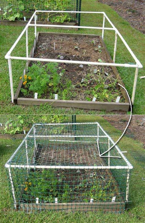 Diy Shade Cloth For Vegetable Garden | Fasci Garden