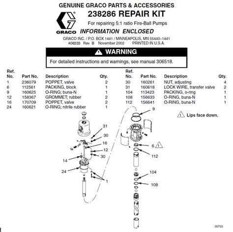 Graco Fireball 300 Rebuild Kit