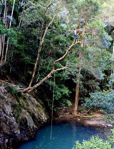 Currumbin Rock pools, Gold Coast Australia Gold Coast Queensland, Gold Coast Australia ...