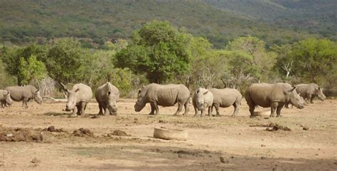 Yankari National Park – Nigeria Travel Guide