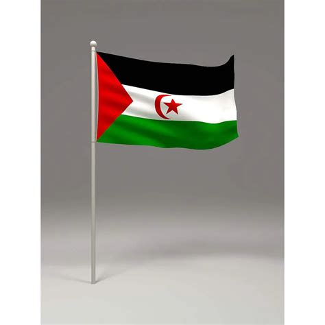 Aliexpress.com : Buy The Western Sahara (EH) Flag Polyester Flag 5*3 FT ...