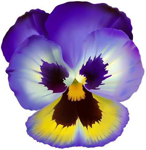 Violet Flower Png - PNG Image Collection