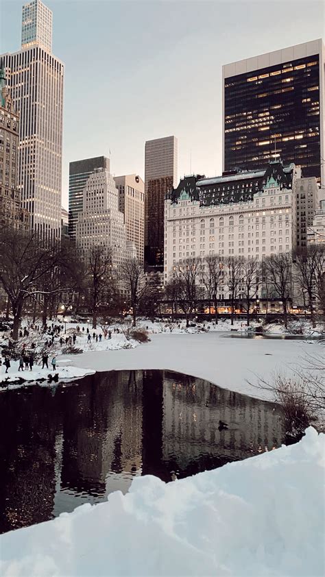 Snow Days in NYC - Pretty in the Pines, New York City Lifestyle Blog