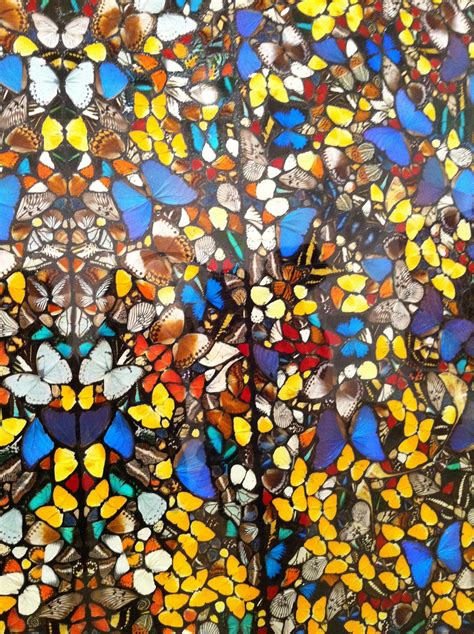 Iced Vo Vo's: Damien Hirst: Butterfly Inspiration