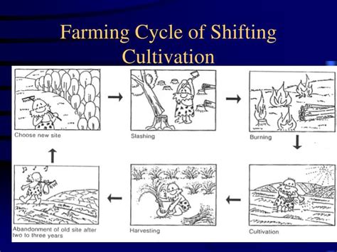 PPT - Shifting Cultivation PowerPoint Presentation - ID:1221852