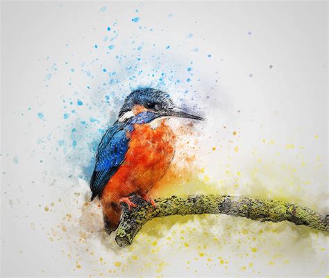 Watercolor Birds Wallpapers - Top Free Watercolor Birds Backgrounds ...