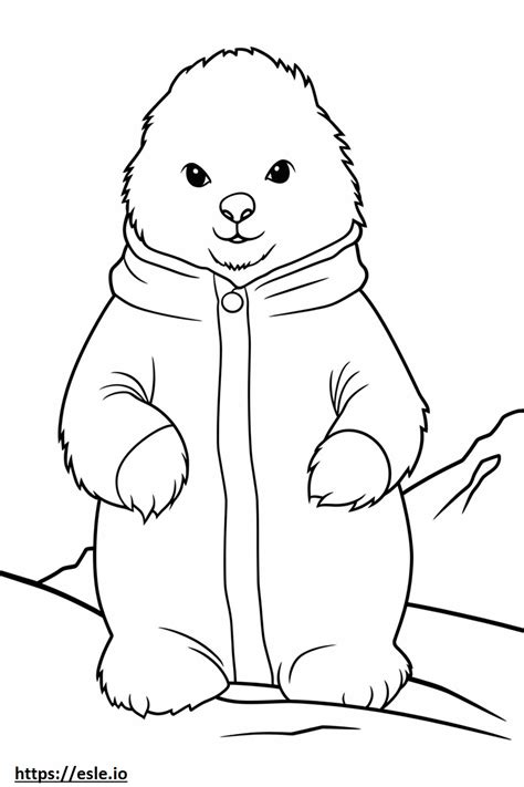 Arctic Hare baby coloring page