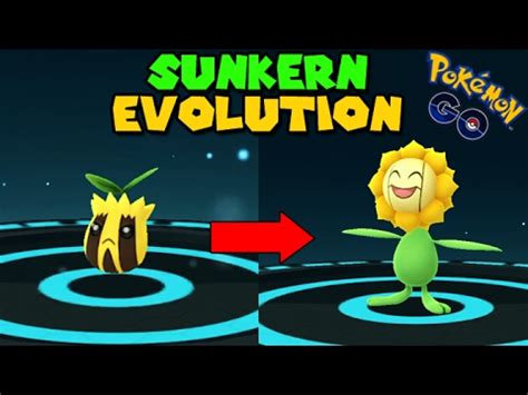 Evolving SUNKERN to SUNFLORA (Pokemon Go GEN 2 Evolution) - YouTube