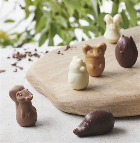 Gourmet chocolates | Valrhona Chocolate