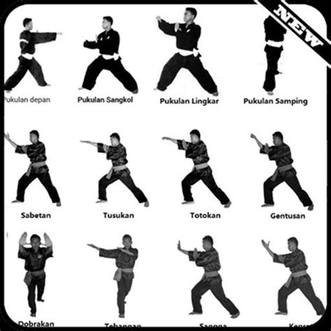 Learn Pencak Silat Techniques APK for Android Download