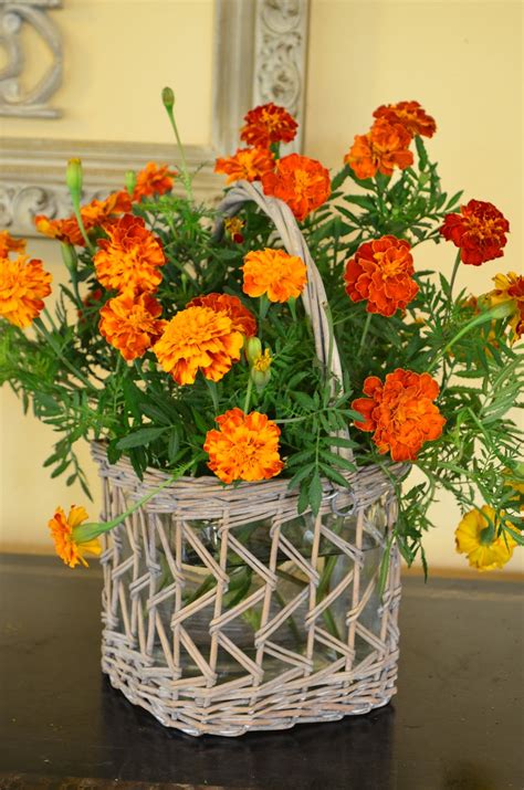 Entertaining From an Ethnic Indian Kitchen: Designing with marigolds