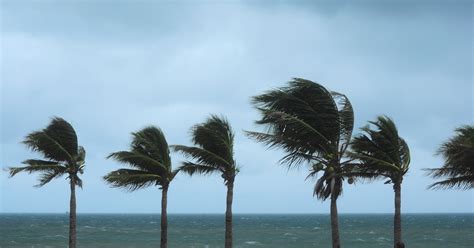 4 Must-Haves For Florida Hurricane Season | ASP Windows