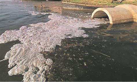 Vaal Pollution: 'It's Nomvula's fault' | Citypress