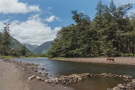 The Ultimate Guide To The Waipio Valley Hike - Big Island Bucketlist