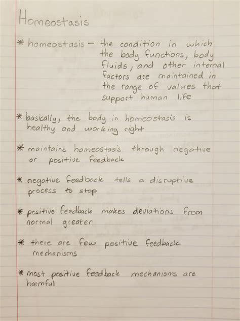 Homeostasis Worksheet Pdf – Thekidsworksheet