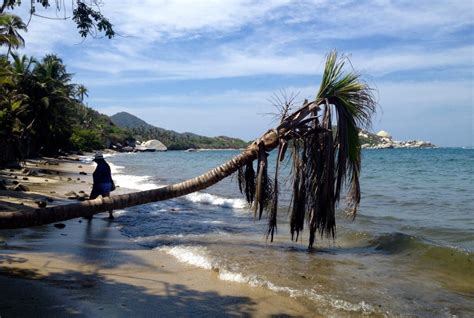 10 Facts About Colombia's Biodiversity To Give You Yet Another Reason To Visit - Bogotastic