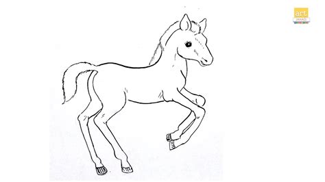 How to draw Baby Horse drawing II Draw A Baby horse Foal drawing II # ...